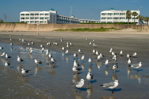 Casa Del Mar Beachfront Suites image 11